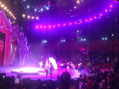 -珠海横琴长隆《卡卡虎奇遇记》