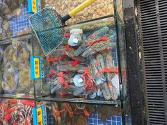 -明记海鲜大排档(巽寮湾店)