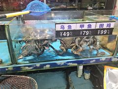 -乐在集市海鲜大排档(平潭店)
