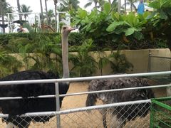 -三亚亚龙湾天域度假酒店