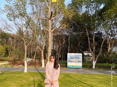 -昆山城市生态森林公园