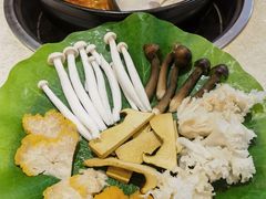 -钢管厂五区小郡肝串串香火锅(梅川路店)
