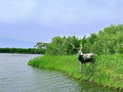 -溱湖国家湿地公园