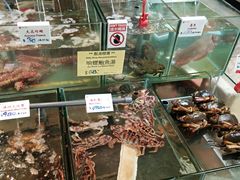 -南丫岛