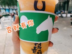杏好有你-春丽小马(济南恒隆广场店)