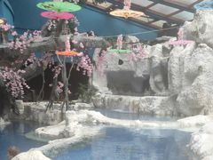 -中铁花水湾四季温泉谷