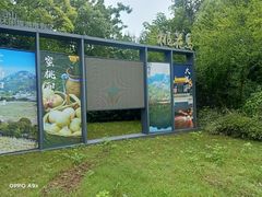 -桃花岛景观公园