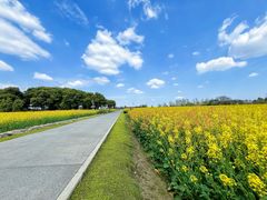 -中国天府农业博览园