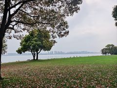 -苏州金鸡湖大酒店