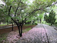 -淄博聊斋城景区