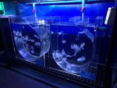 -成都浩海立方海洋公园