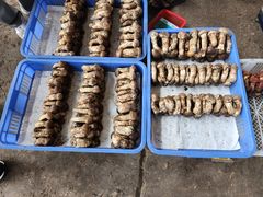 -云南木水花野生菌交易中心