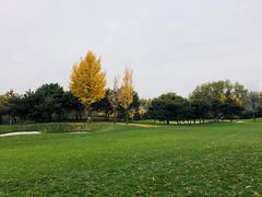 -北京京辉高尔夫俱乐部有限公司