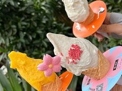 -野人先生现做冰淇淋(北京顺义祥云小镇店)