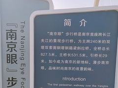 -南京眼步行桥