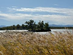 -野鸭湖国家湿地公园