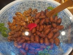 -鸽子窝(宋庄店)