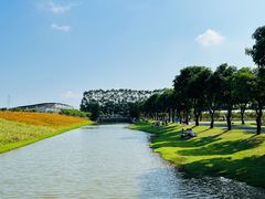 -迪茵湖田家舍生态农场