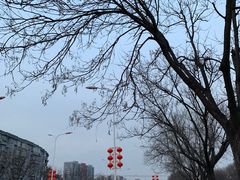 -吉野家(顺义站前北街店)