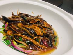 -绿杨春·淮扬宴(庐山路店)