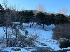 -北京西山国家森林公园