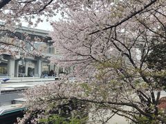 -南浦大桥长途旅游客运站