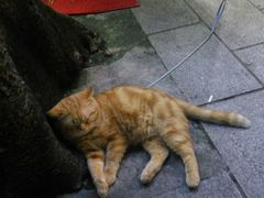 -西关84·History·Art·Cafe