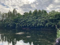 -东平国家森林公园