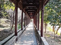 -八大山人梅湖景区