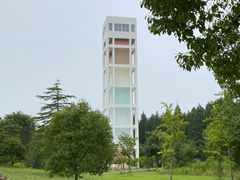 -东平国家森林公园