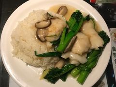 -翠华餐厅(湾仔店)