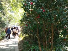 -南沙蒲洲花园