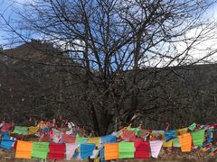 -硗碛藏寨·神木垒景区