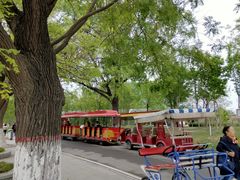 -石家庄市植物园