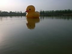 -荷兰花海