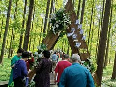 -黄海国家森林公园