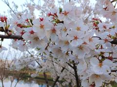 -龙湖南京河西天街