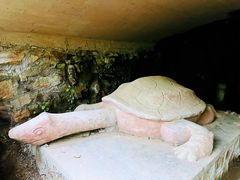 -上海佘山国家森林公园天马山园