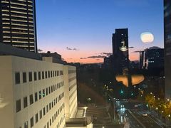 -莉莉海堂HAITANG·烤鸭(国贸商城店)