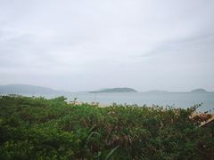-三亚亚龙湾红树林度假酒店