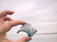 -灌篮高手动画打卡地