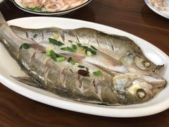 太湖白鱼-美味之家·湖景农家乐(太湖东山店)