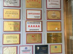 -小荧星艺校(浦东中环分校)