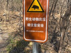 -北京凤凰岭