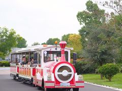 -漩门湾国家湿地公园