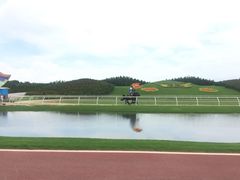 -迪茵湖田家舍生态农场