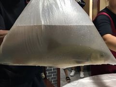 -将就吃农家特色土菜馆