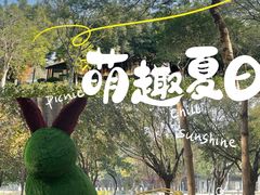 -海珠湖公园