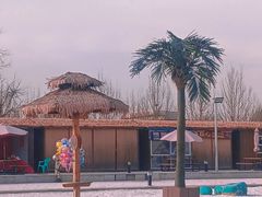 -武清南湖绿博园