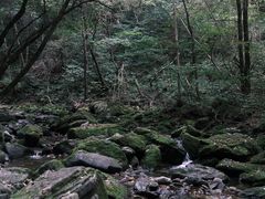 -关门山森林公园
